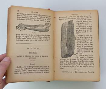 Annette Lucas: La Cuisinière Cordon Bleu de la Famille - contenant un vocabulaire des termes de cuisine, l'art de découper, le service de table, des menus gras et maigres pour toutes les saisons,les sauces et toute la cuisine proprement dite la patisserie etc.