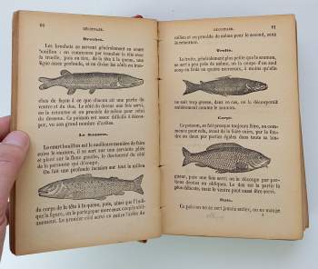 Annette Lucas: La Cuisinière Cordon Bleu de la Famille - contenant un vocabulaire des termes de cuisine, l'art de découper, le service de table, des menus gras et maigres pour toutes les saisons,les sauces et toute la cuisine proprement dite la patisserie etc.