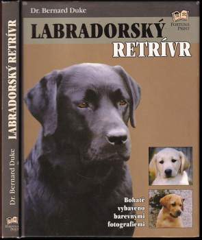 Labradorský retrívr
