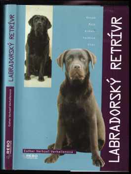 Labradorský retrívr
