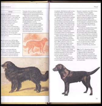 Marjorie Satterthwaite: Labradorský retrívr