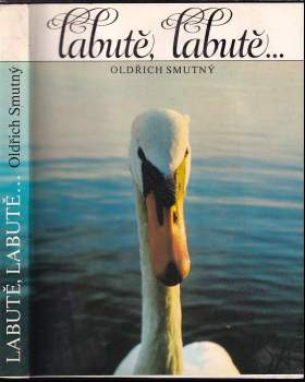 Labutě, labutě
