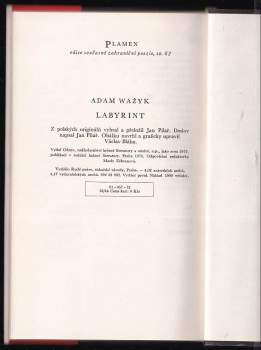 Adam Waźyk: Labyrint
