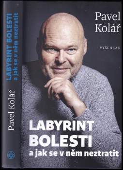 Labyrint bolesti a jak se v něm neztratit