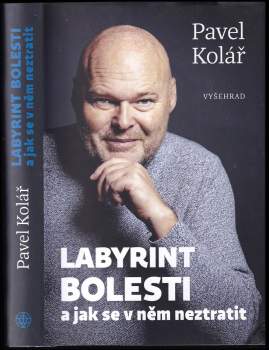 Labyrint bolesti a jak se v něm neztratit