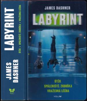 Labyrint