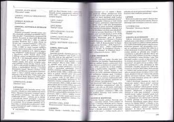 Dušan Karpatský: Labyrint literatury