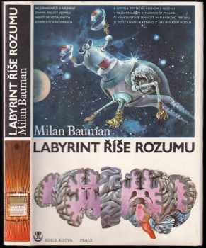 Labyrint říše rozumu : taje lidského mozku