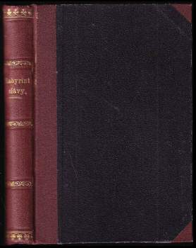 Jan Erazim Vocel: Labyrint slávy