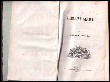 Jan Erazim Vocel: Labyrint sláwy