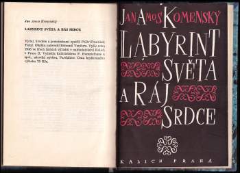 Jan Amos Komenský: Labyrint světa a ráj srdce, to jest: Světlé vymalování, kterak v tom světě a věcech jeho všechněch nic není než matení