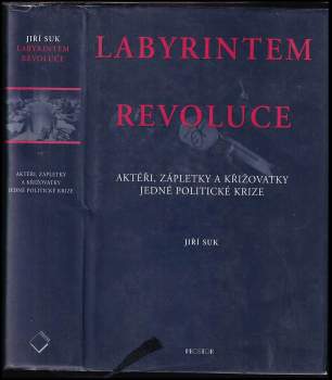 Jiří Suk: Labyrintem revoluce