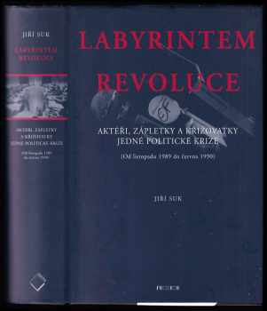 Jiří Suk: Labyrintem revoluce