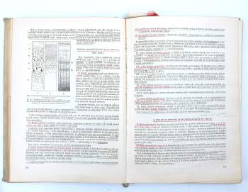 Ladislav Borovanský: Soustavná anatomie člověka