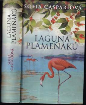 Laguna plameňáků