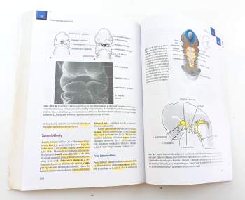 T. W Sadler: Langmanova lékařská embryologie