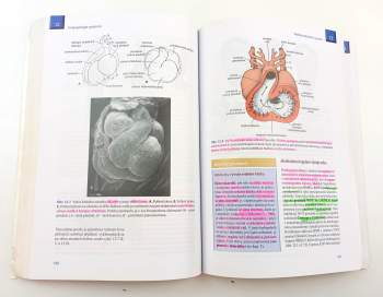 T. W Sadler: Langmanova lékařská embryologie