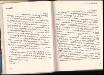 Irvin David Yalom: Láska a její kat