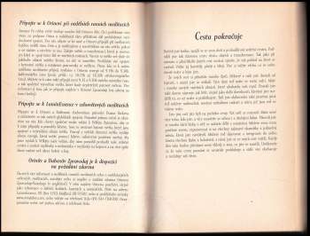 Sanaya Roman: Láska duše