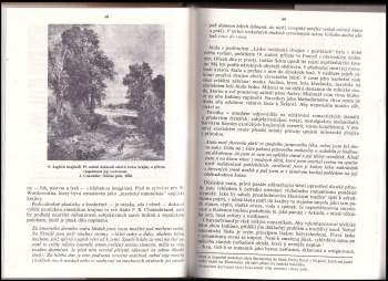 Hana Librová: Láska ke krajině?