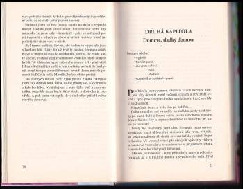 Fiona Valpy: Láska po francouzsku