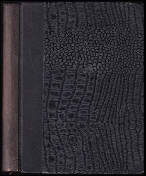 Láska slečny Věry