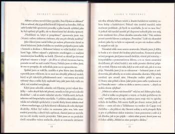 Bridget Asher: Láska v Provenci