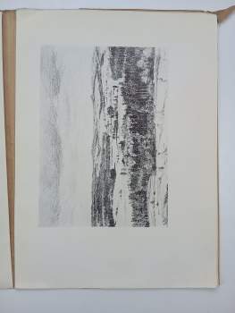 Petr Křička: Láska vlastenecká