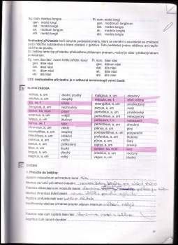 Vlasta Seinerová: Latina