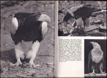 Jan Hanzák: Le Monde des oiseaux