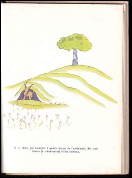 Antoine de Saint-Exupéry: Le petit prince