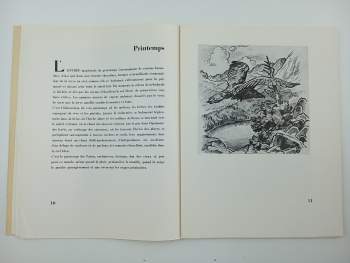 Jaroslav Votruba: Le printemps dans les Hautes Tatras