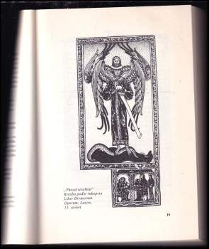 Wighard Strehlow: Léčebné umění Hildegardy z Bingenu