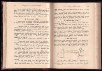 Sebastian Kneipp: Léčení vodou