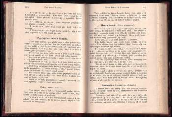 Sebastian Kneipp: Léčení vodou