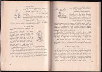 Sebastian Kneipp: Léčení vodou