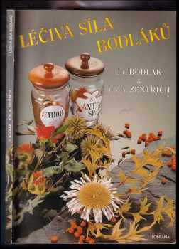 Léčivá síla bodláků