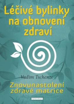 Léčivé bylinky na obnovení zdraví