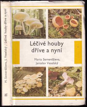 Léčivé houby dříve a nyní