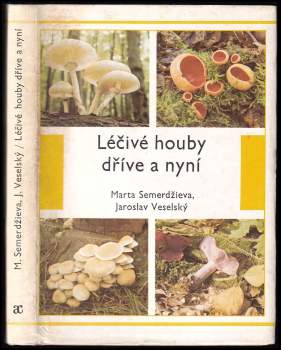 Léčivé houby dříve a nyní