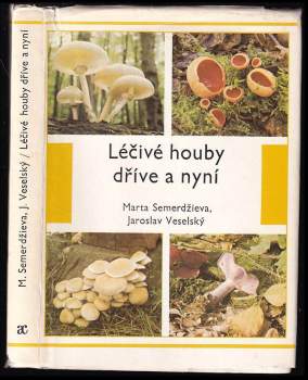 Léčivé houby dříve a nyní