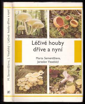 Léčivé houby dříve a nyní