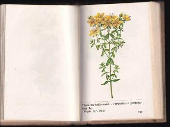 Viktor Jedlička: Léčivé rostliny