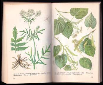 Antonín Příhoda: Léčivé rostliny