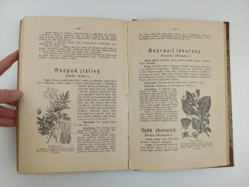 František Dlouhý: Léčivé rostliny