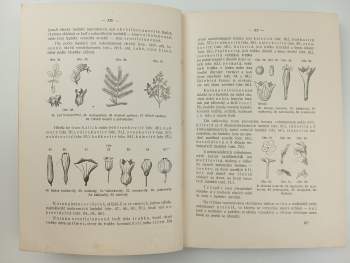 František Dlouhý: Léčivé rostliny