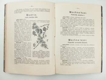 František Dlouhý: Léčivé rostliny