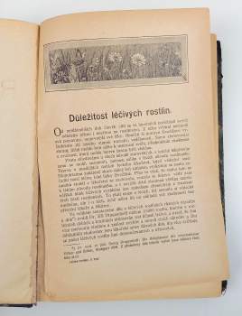 František Dlouhý: Léčivé rostliny