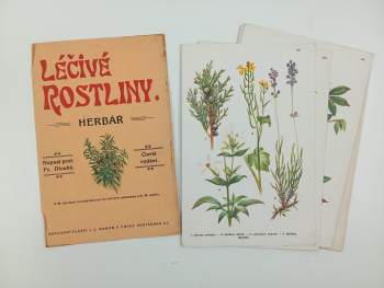 František Dlouhý: Léčivé rostliny