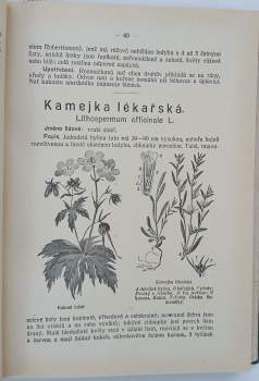 František Dlouhý: Léčivé rostliny
